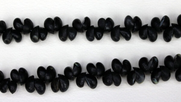 Black Crow Shell Necklace by Lola Greeno