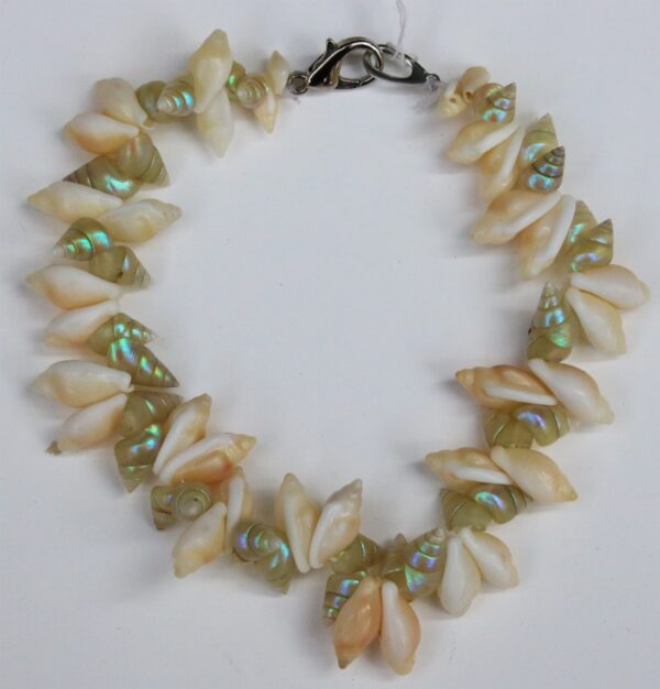 Shell bracelet by Lola Greeno