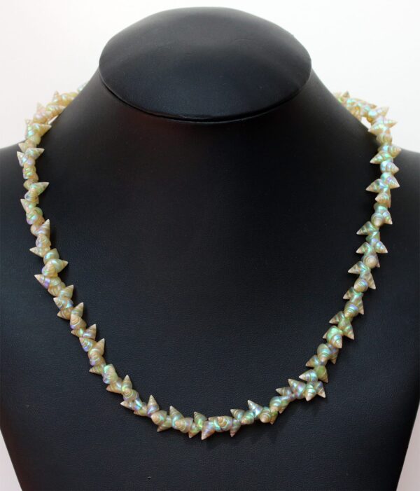 Shell Necklace by Lola Greeno