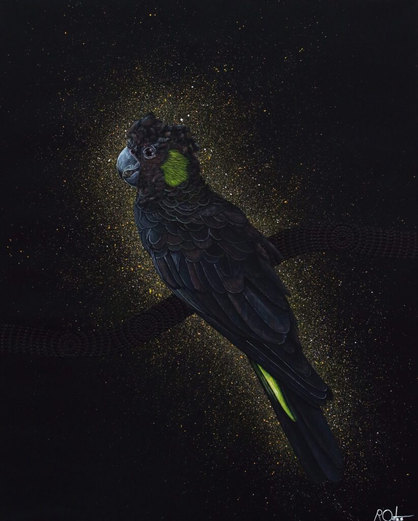 Black Cockatoo - From the Storm by Reuben Oates