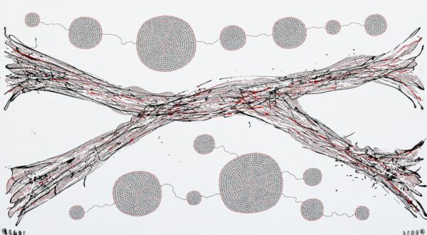 Quela's Mycelium Network by Julian Oates