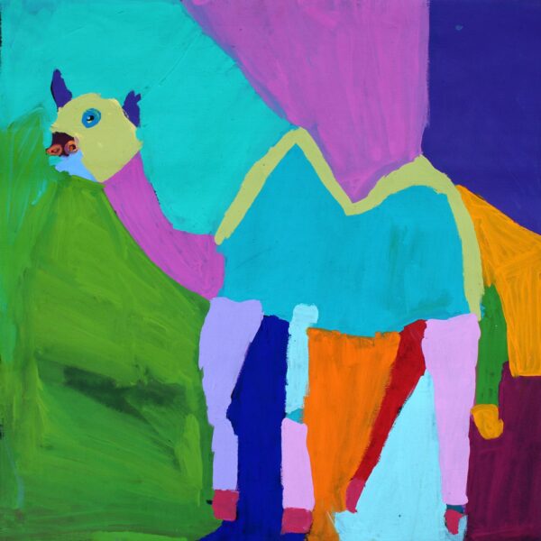 Camel by Karen Barnes