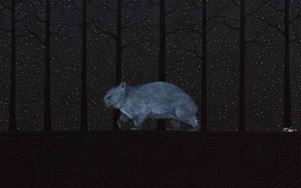 Wombat by Reuben Oates