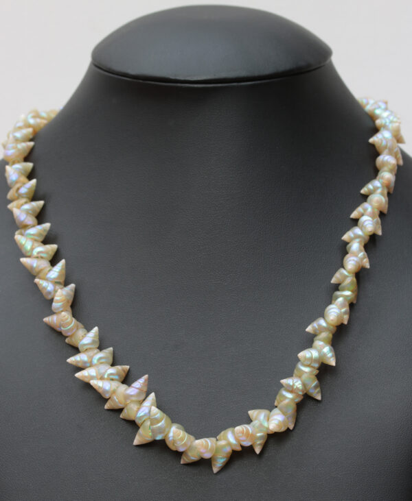 Blue maireneer shell necklace by Lola Greeno