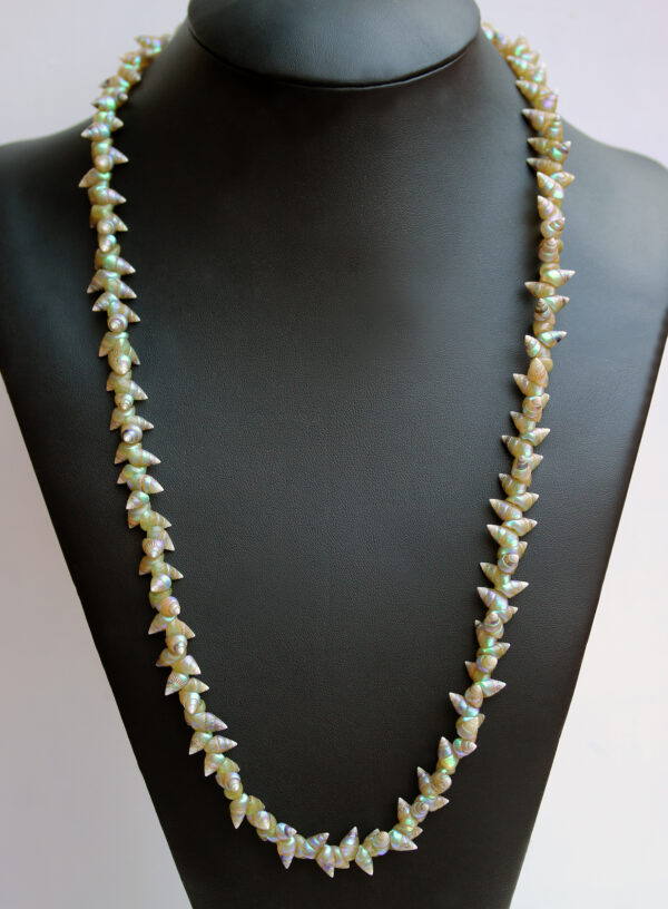 Green Maireener Shell Necklace